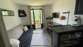 Studio cosy 4 couchages avec parking et balcon, au pied télésiège et vente forfaits à La Foux d'Allos